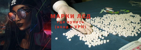 сатива Белокуриха