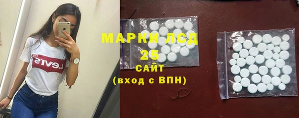 индика Балабаново