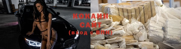 сатива Белокуриха