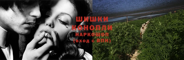 индика Балабаново