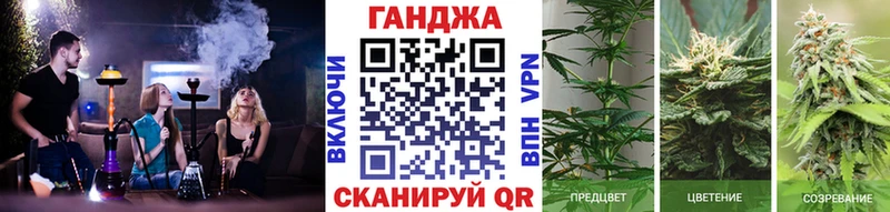 Марихуана Amnesia  Раменское 